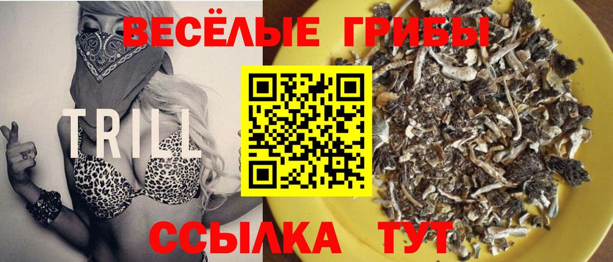 Псилоцибиновые грибы мицелий Тутаев